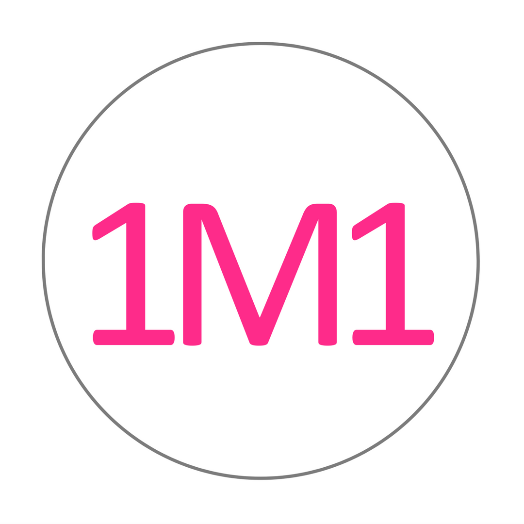 1M1 Zirconia Multilayer