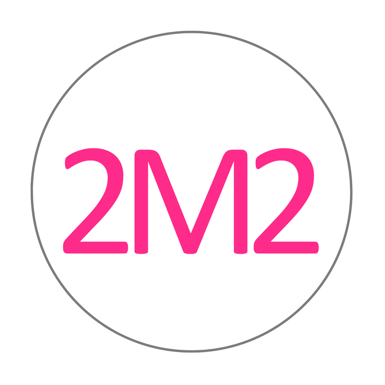 2M2 shade selector for esthetic multilayer zirconia discs