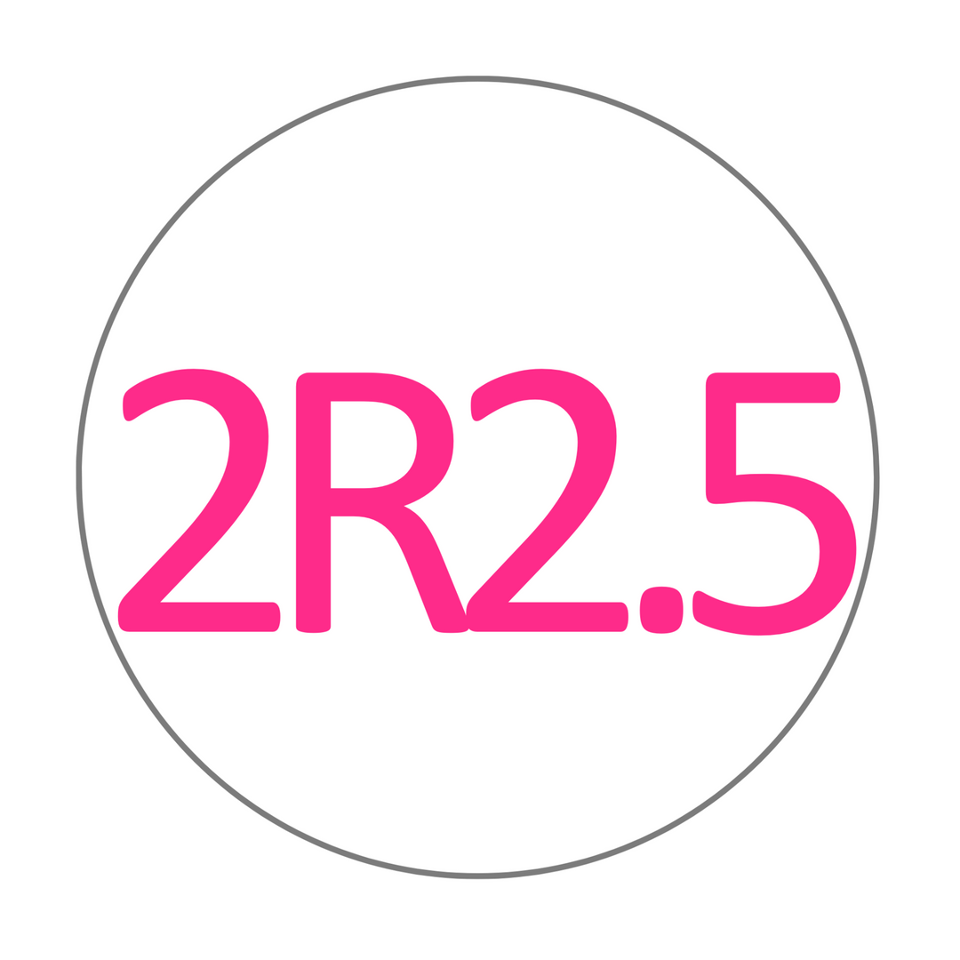 2R2.5 Zirconia Multilayer