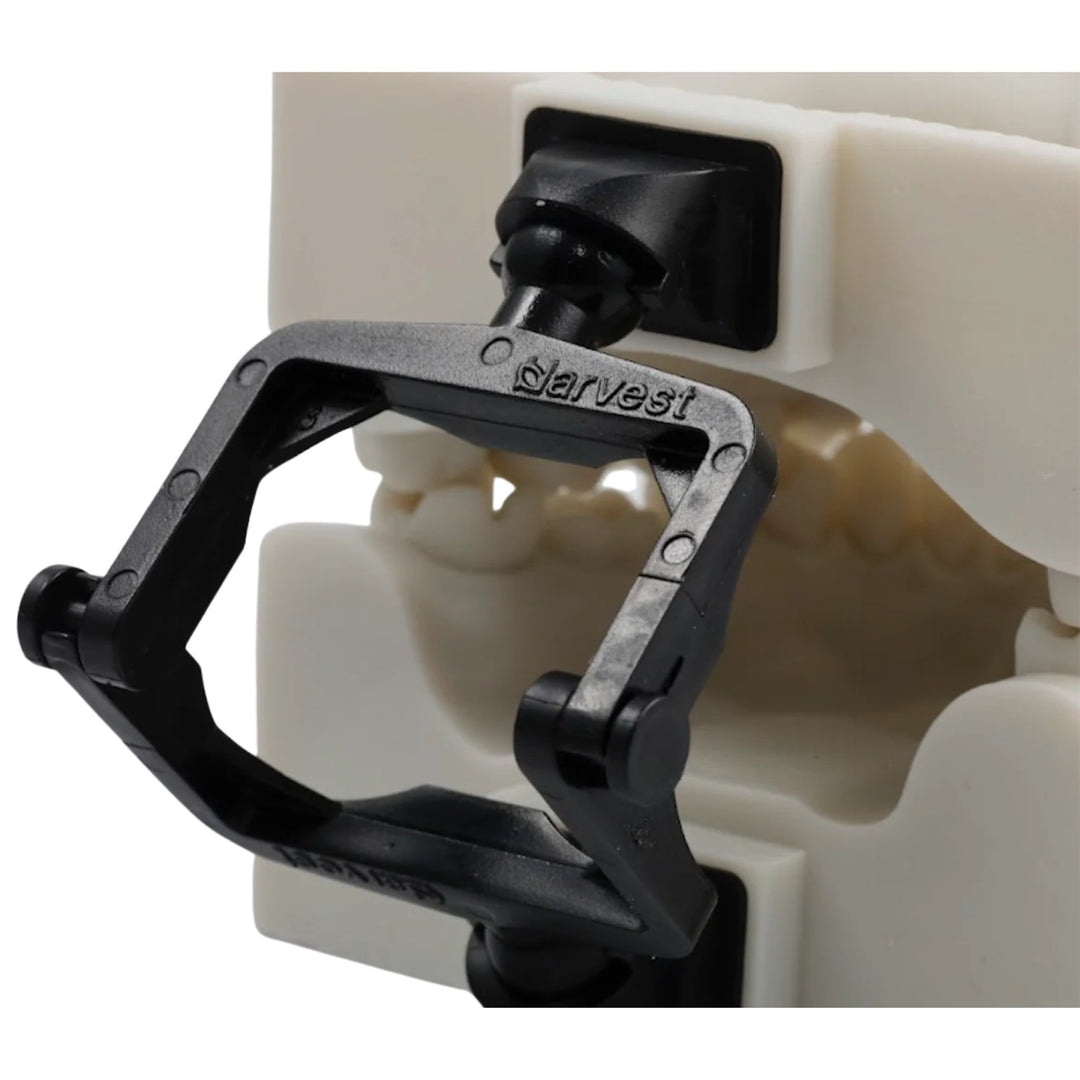 Harvest Vertex Articulator, view 2