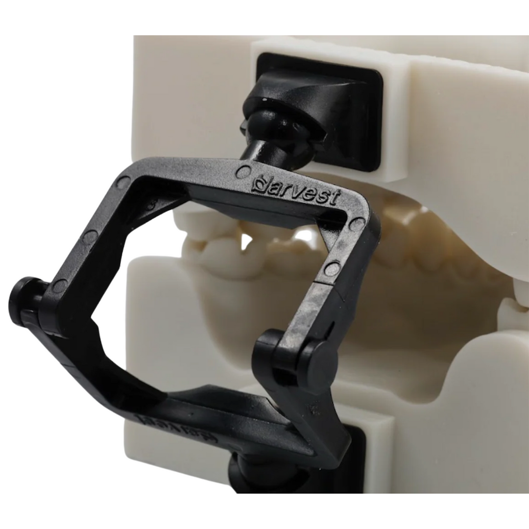 Harvest Vertex Articulator