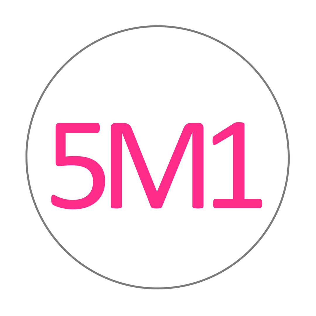 5M1 Zirconia Multilayer