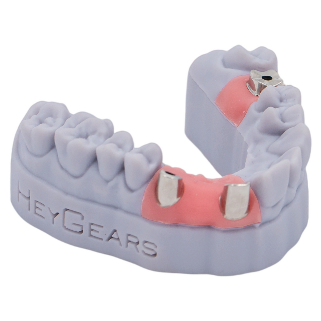 HeyGears Gingiva UV 2.0