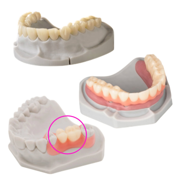 HeyGears Tough Teeth UV 1.0 For Try-In