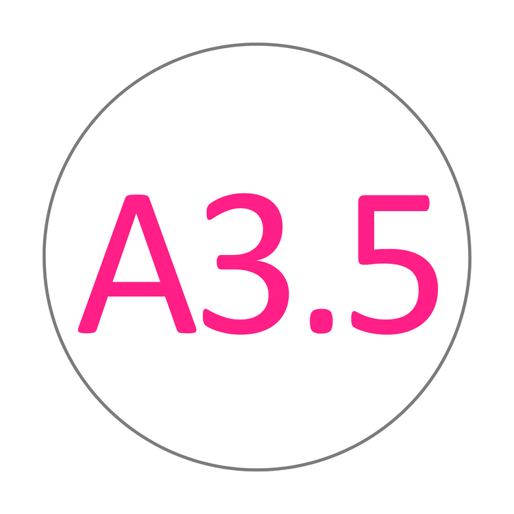 A3.5 shade selector for Everyday Value Zirconia discs