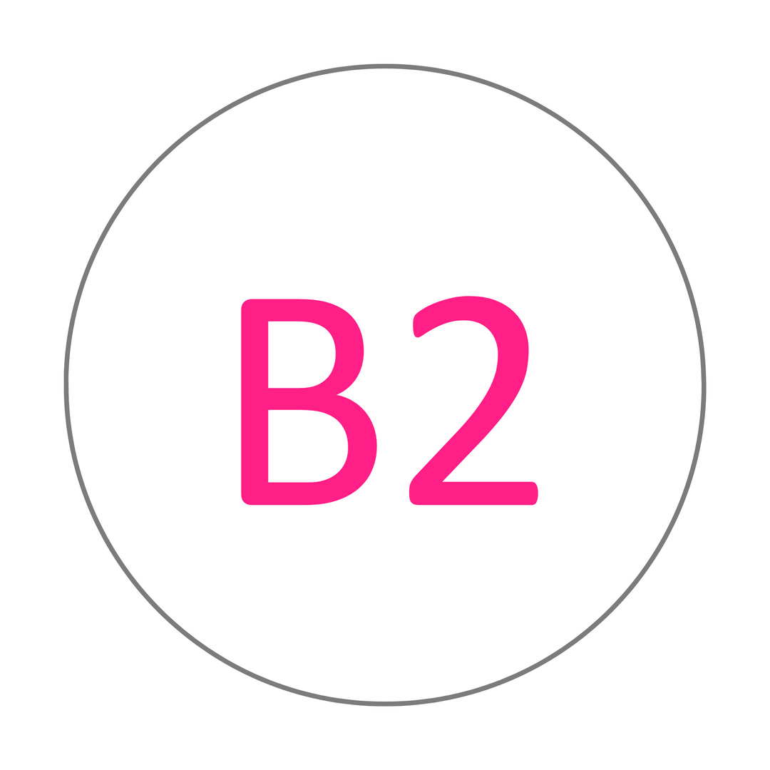 B2 shade selector for Everyday Value Zirconia discs
