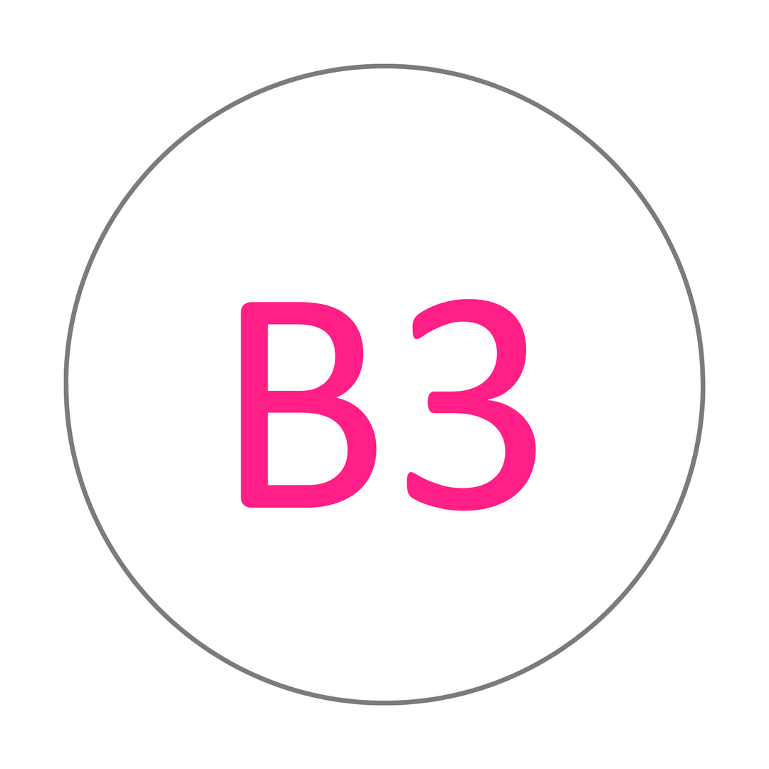B3 shade selector for Everyday Value Zirconia discs