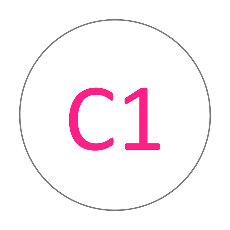 C1 shade selector for Zirconia discs