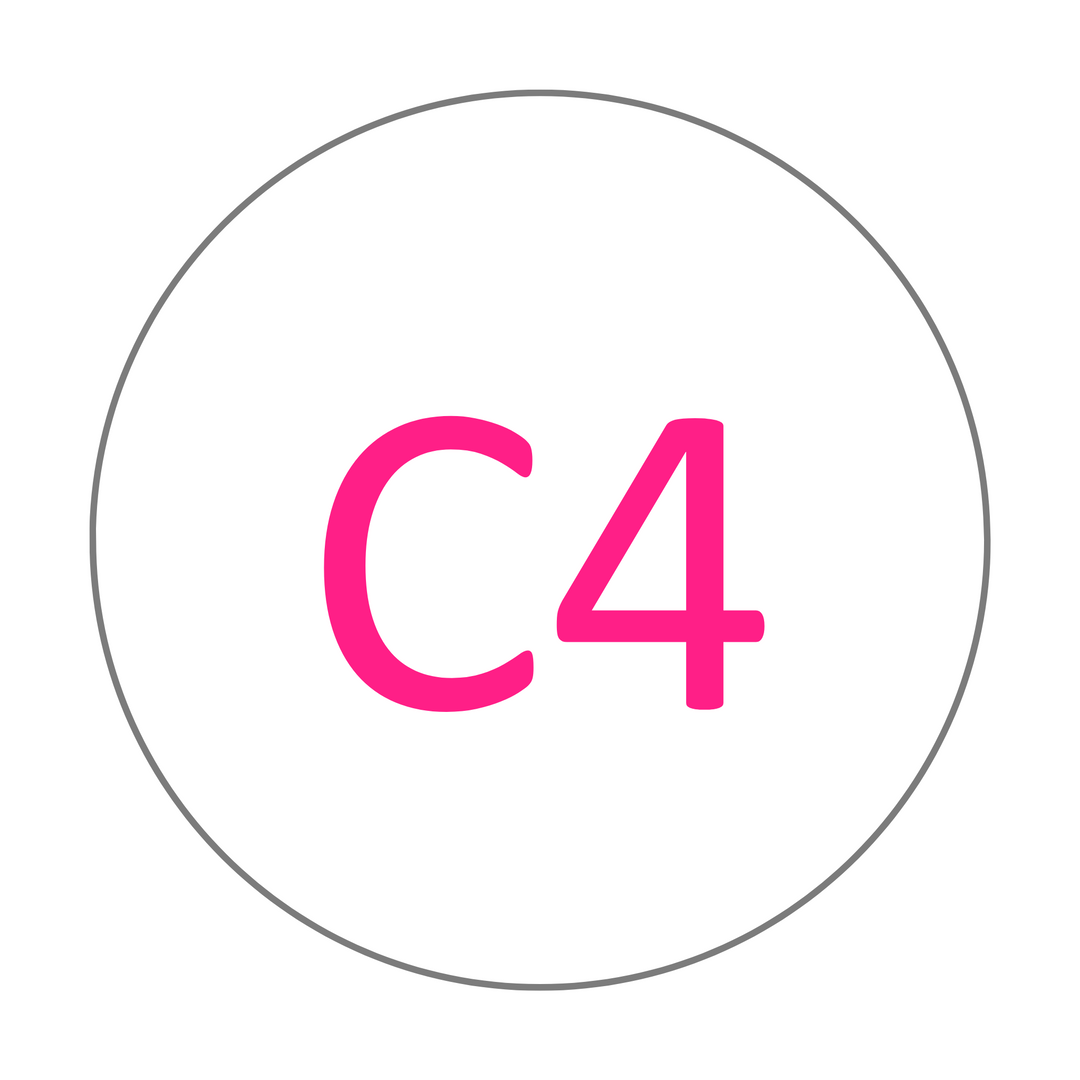 C4 shade selector for zirconia discs
