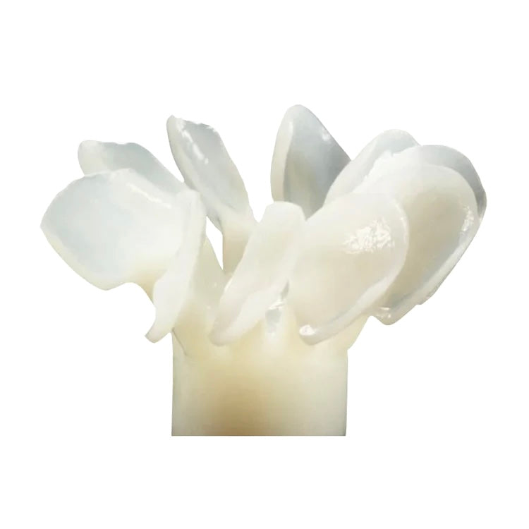 XTCERA Glass Ceramic Pressing Ingots [10 pcs]